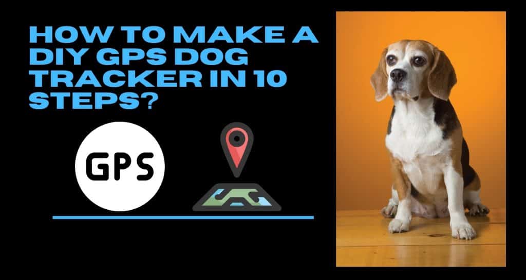 How to Make a DIY GPS Dog Tracker in 10 Steps