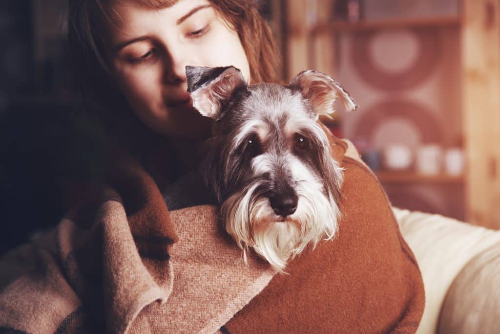 Tips For Choosing Hypoallergenic Dogs