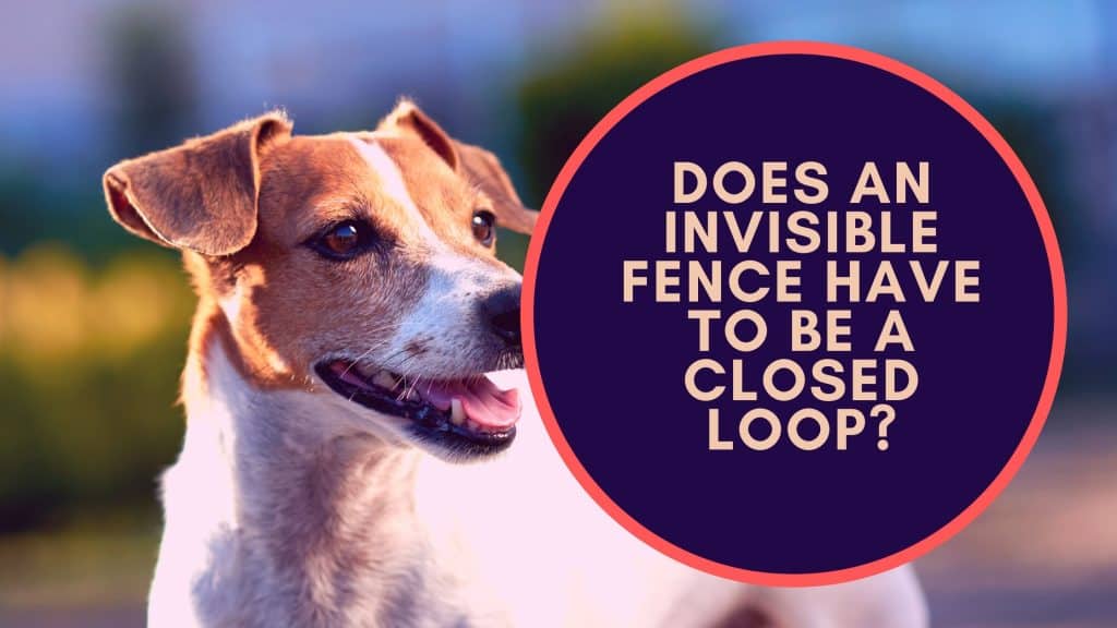 Does An Invisible Fence Have to Be a Closed Loop