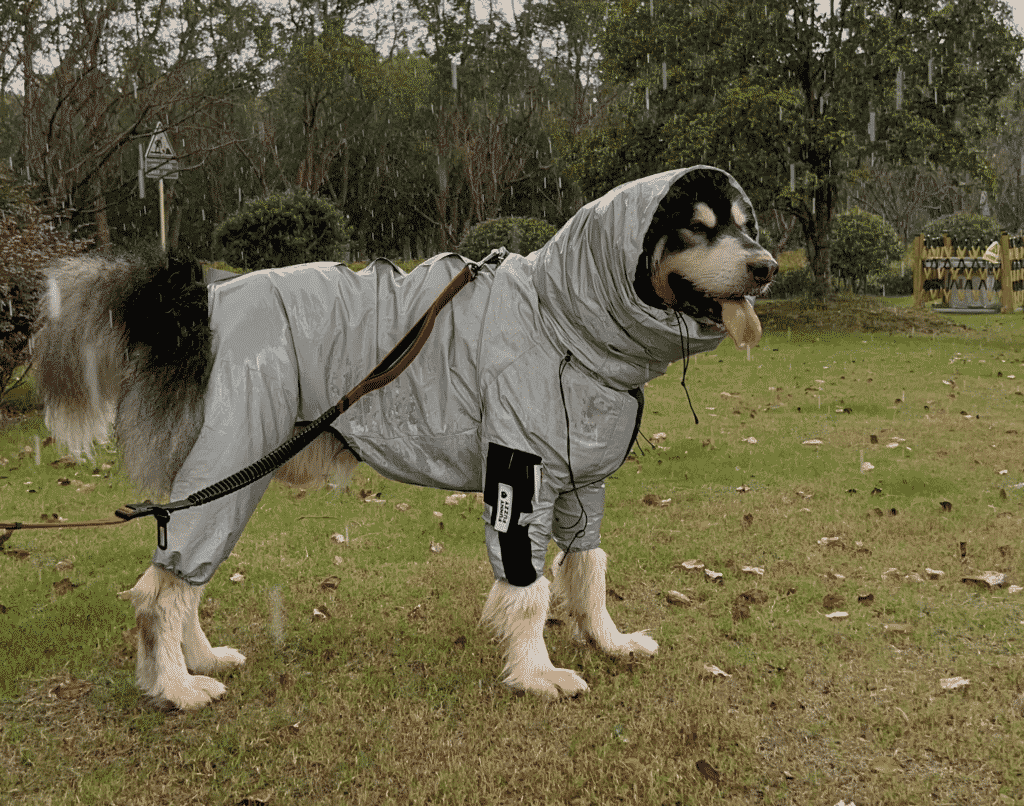 FunnyFuzzy waterproof dog coat with hoodie