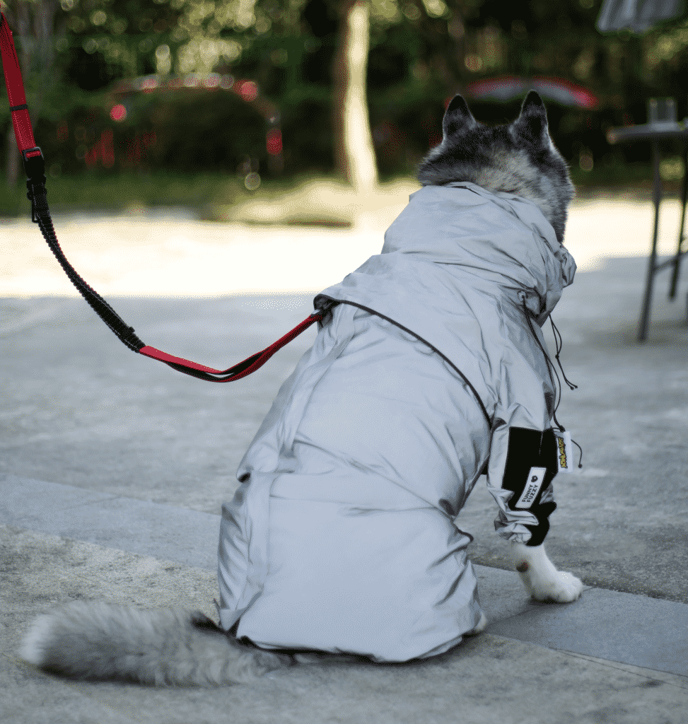 waterproof dog coat with hoodie