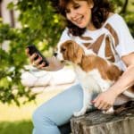 iPad Games For Dogs
