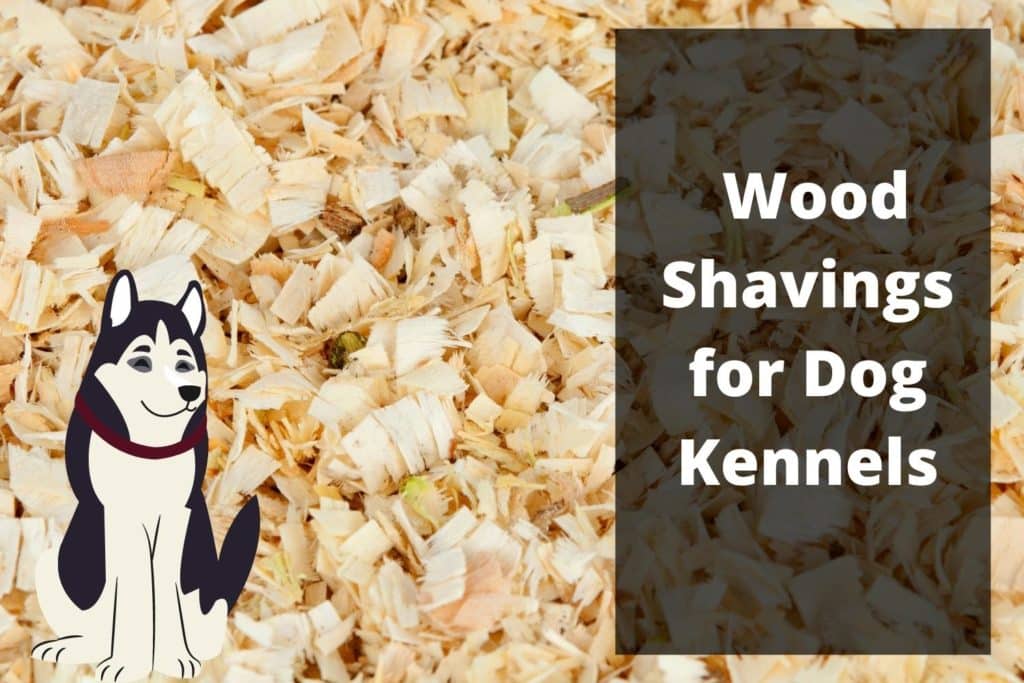 wood shavings for dog kennels