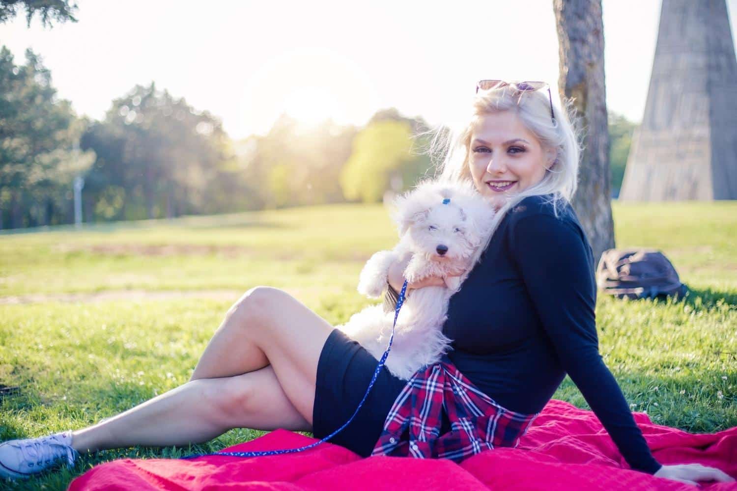 how-long-can-a-small-dog-hold-its-bladder-overnight-dog-n-dogs