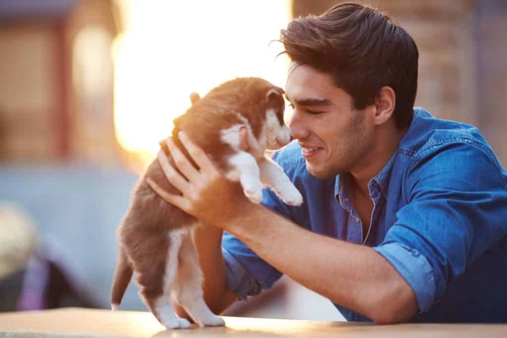 what new dog owners need to know