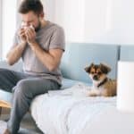 Help a Dog Allergy Sufferer